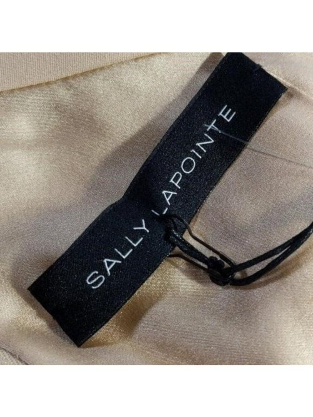 Sally LAPOINTE Vintage Champagne Silk sheath asymmetrical sheer mesh dress - Picture 4 of 10